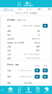 ベネンシアンドール2015