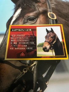 ギャロップPOGの表紙と似てる