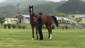 ロードの馬 2