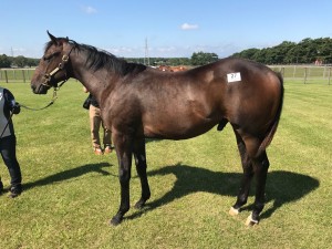 ピースエンブレム2016