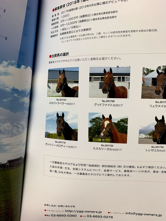 YGG 2018年1歳馬2次募集のカタログが届く 全6頭