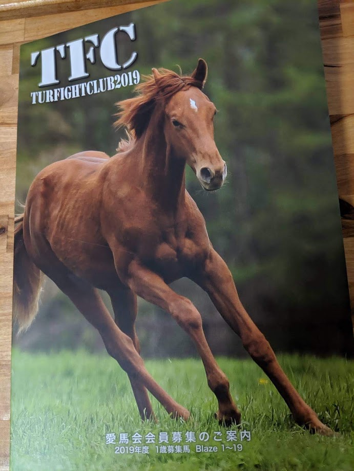 ターファイトクラブ 2019年1歳馬募集 8月6日から始まっていて既に満口馬が2頭