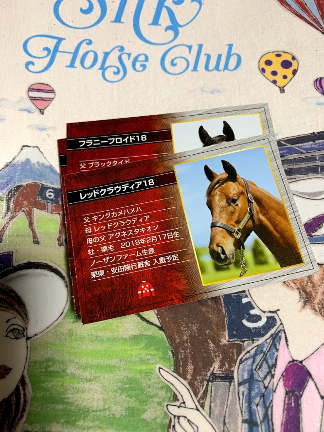 東京サラブレッドクラブから貰えるカードのコンプリートを目指してみる