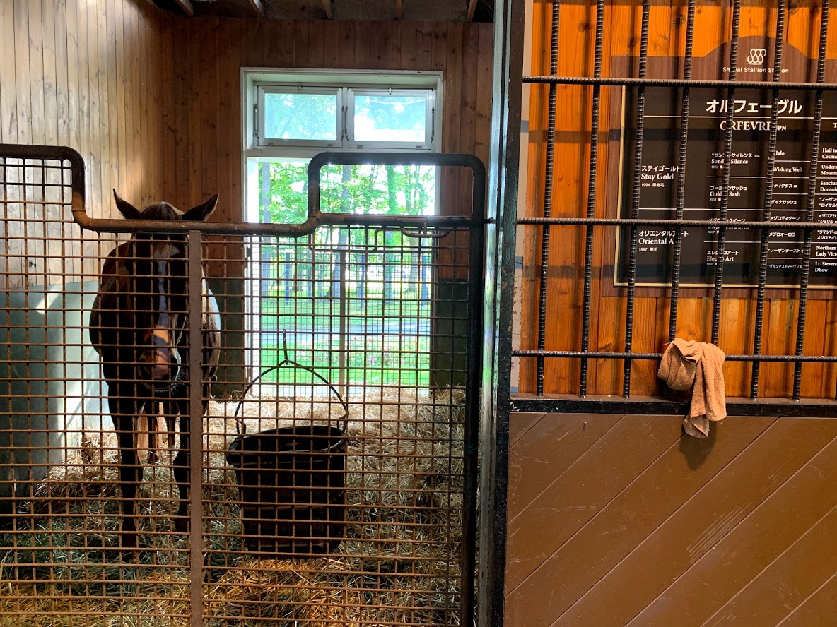 社台スタリオンステーション 2019年繋養種牡馬の種付頭数を発表 ロードカナロアが245頭