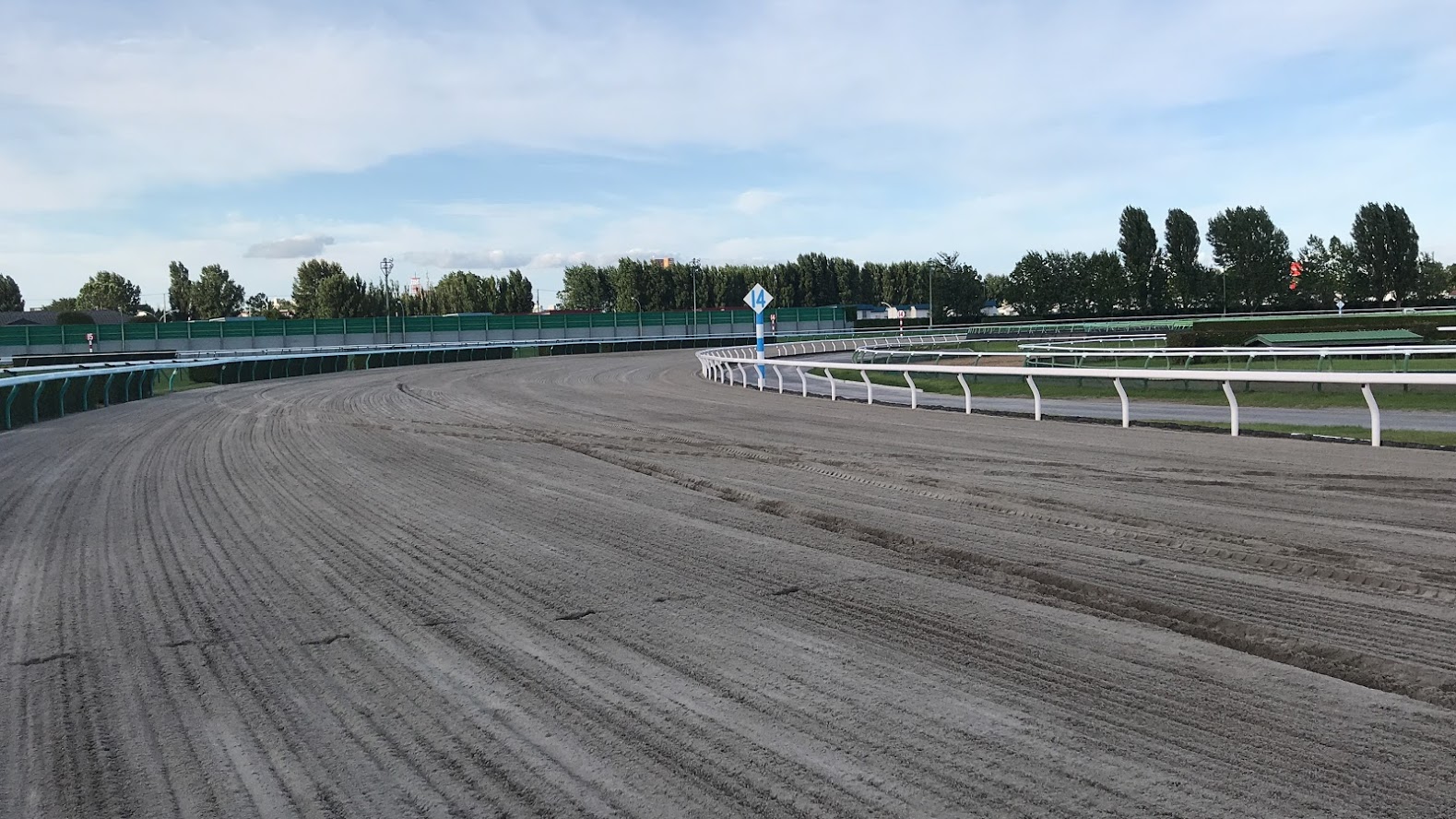 5Gで競走馬のリアルタイム監視が実現するかも 一口馬主のサービスも充実していく！？