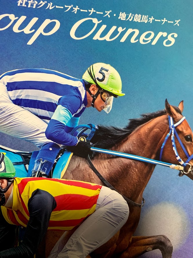 2020年社台グループオーナーズ地方競馬オーナーズを適当に検討してみる ララベル2019とクラベル
