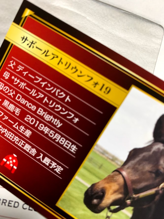 東京サラブレッドクラブ 2020年募集馬の馬名決定 レッドファンタジア2019はレッドベルアーム