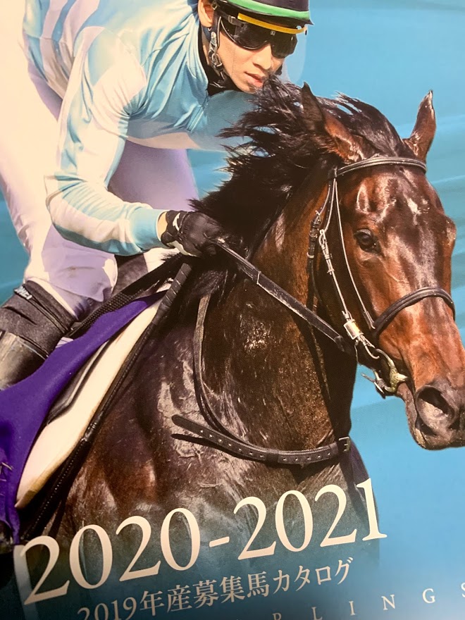 ノルマンディーオーナーズクラブ 2019年産募集馬カタログが届く