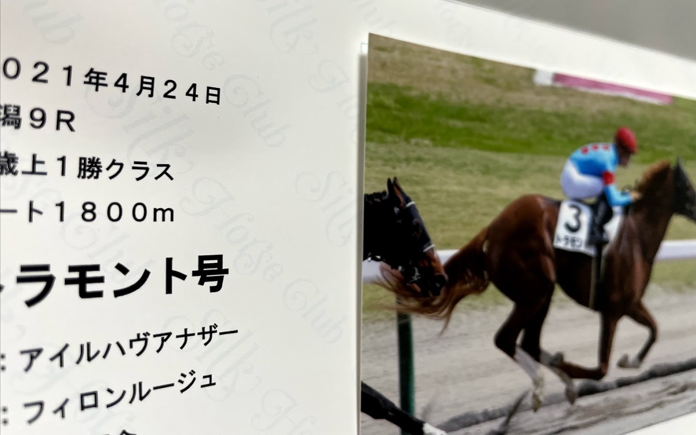【へっぽこ一口馬主入門】いろいろな出資馬 地方競馬から帰ってきたら別馬だった件